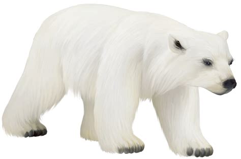  Large Painted PNG Polar Bear Clipart | Gallery ...
