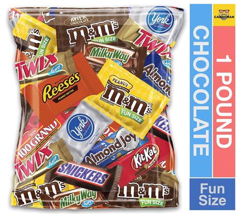 Buy Candyman 1 Pound Small Bag Bundle Assortment Chocolate Candy Mix Bulk Pack Online At