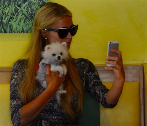 We did not find results for: PARIS HILTON with Her Dog Prince Hilton Out for Lunch ...