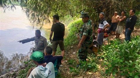 Dua Bocah Berusia 5 Tahun Hanyut Di Sungai Kali Mayang Ambulu Jember