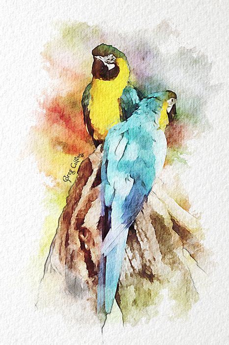 29 Drawing Of Parrot With Colour Aulaybarnaby
