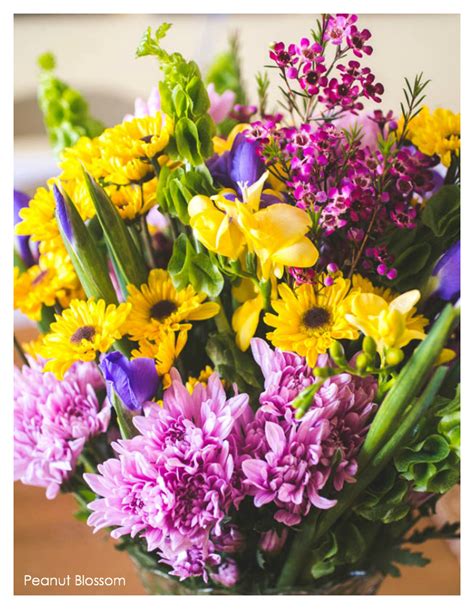 These flowers will make your. How to pick the prettiest Trader Joe's flowers for just $20