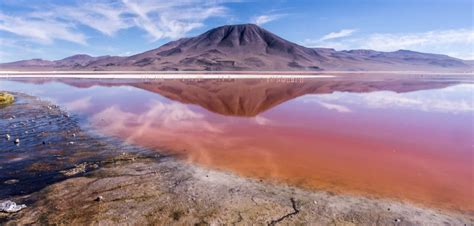 Laguna Colorada Bolivias Magnificent Red Lake