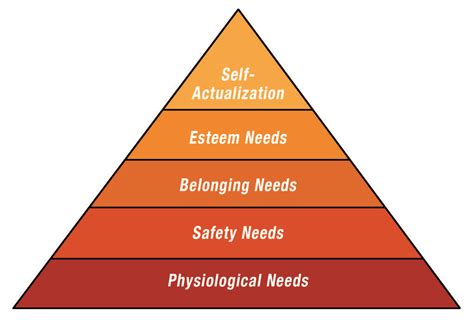 Maslow S Hierarchy Of Needs Maslow S Pyramid Content Theory Of Human My Xxx Hot Girl