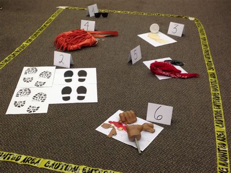 Chez Renée How To Use A Mannequin In Your Classroom 13 Crime Scene