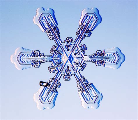 Snow Beautiful Individual Snowflakes Captured In Incredible Photos