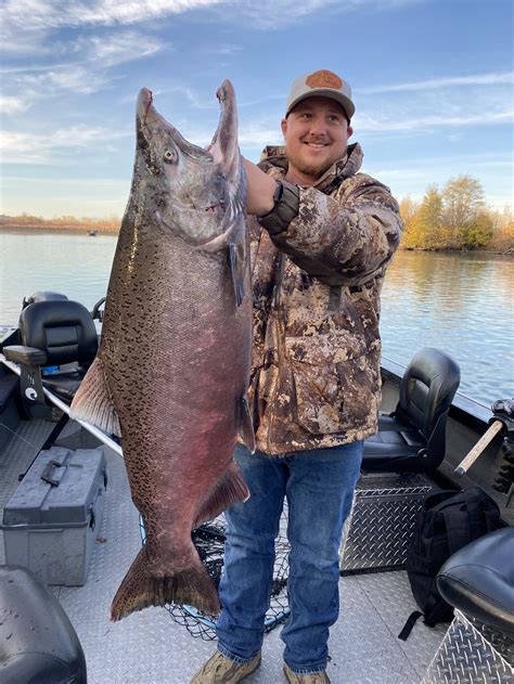 Giant Sacramento River King Salmon 11282021 — Justin Thompson Fishing