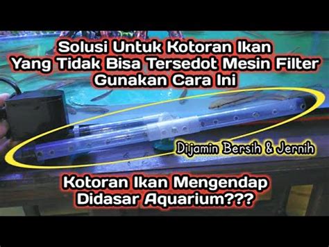 Untuk menjaga air tetap bersih sebaiknya menggunakan pompa air yang kecepan nya 300 liter/jam atau lebih tergantung jumlah ikan dan cara pemberian pakan nya. Cara Agar Kotoran Ikan Bisa Tersedot Filter Aquarium ...
