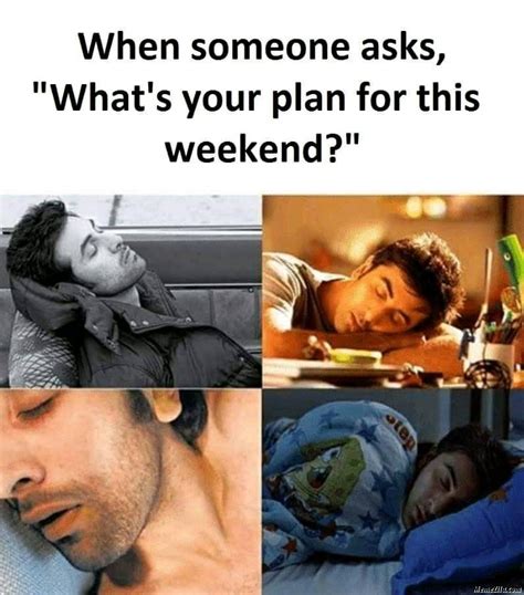 Who do not love weekends? Cat before lockdown vs after lockdown meme - MemeZila.com