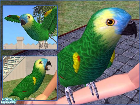 The Sims Resource Blue Front Amazon Parrot