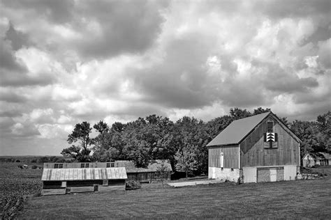 Forest For The Trees Quilt Barn Nebraska Photograph By Nikolyn