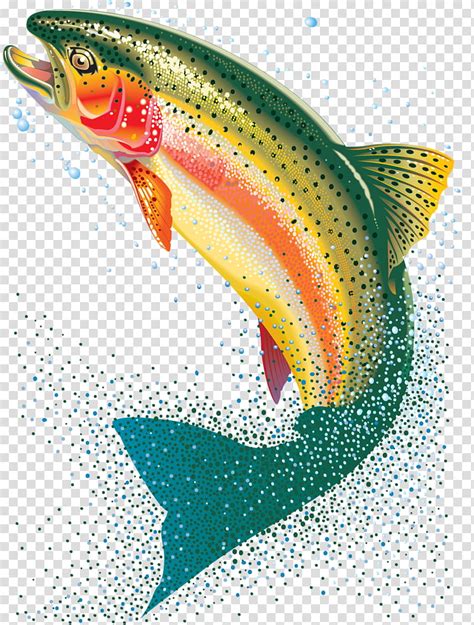 Rainbow Trout Clip Art Library