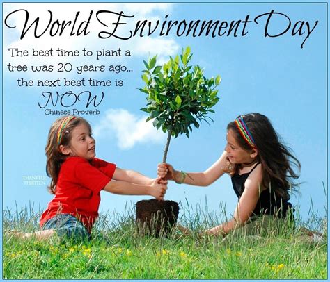 World Environment Day Quote Awareness Days Earth Environment World