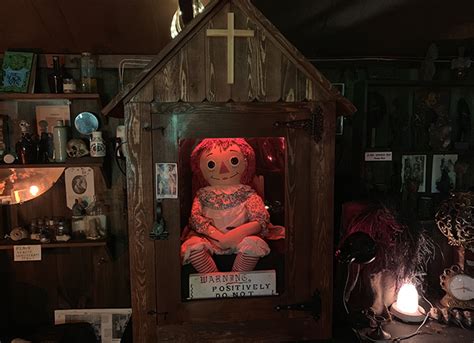 The Real Annabelle Doll At The Warrens Occult Museum Malorie Mackey