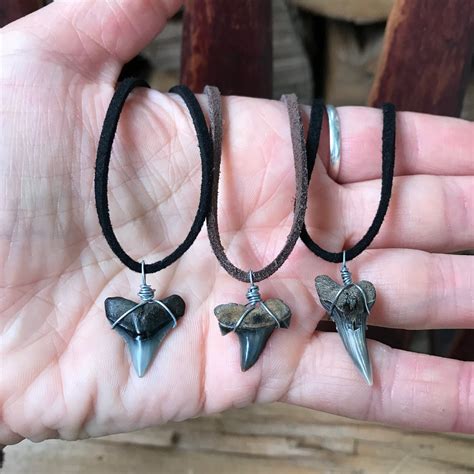 Shark Tooth And Leather Necklaces Etsy