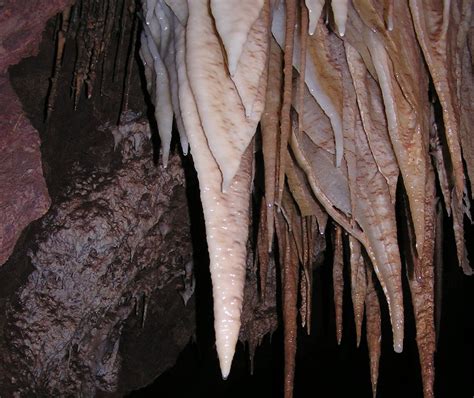 Bizarre Microbes Discovered In Desert Cave Live Science