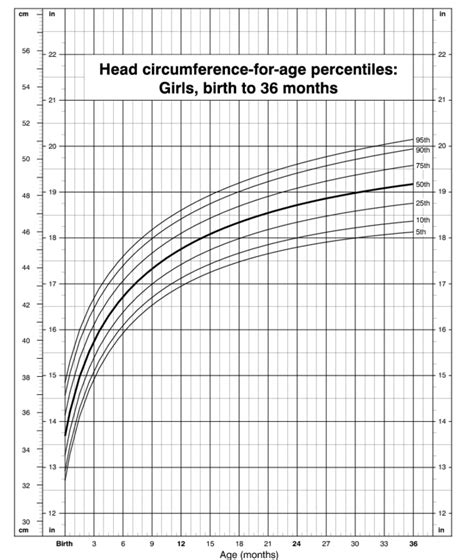 how to read a head circumference chart new health advisor