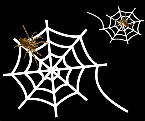 Spider Web Icons Png Free Png And Icons Downloads