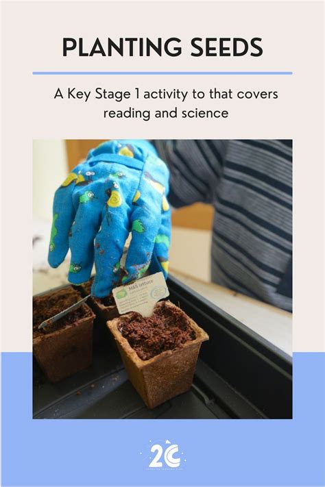 This Key Stage 1 activity started off by popping the plant labels off