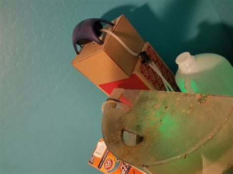 It is commonly kept as a pet in indoor aquariums, and is one of the most popular aquarium fish. Trending A Neglected Goldfish Lived In Filth Until This ...