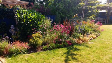 Large Back Garden In Ickenham Needs Garden Planting Advice