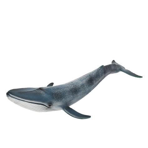 Buy 9inch Sea Life Blue Whale Toys Simulation Animal