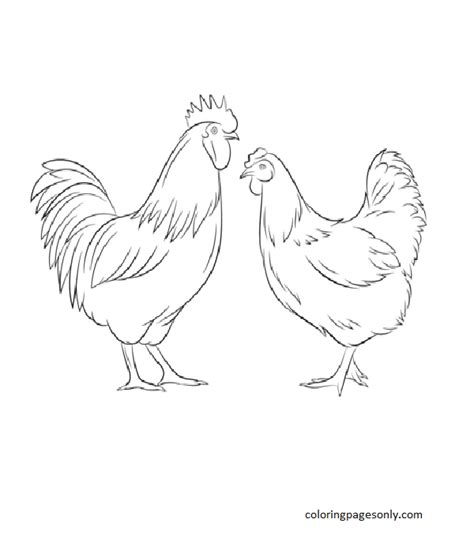 Cartoon Chicken Coloring Pages Chicken Coloring Pages Coloring