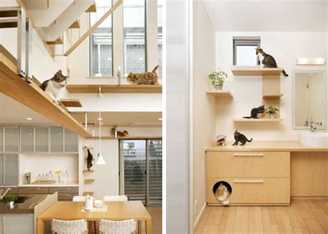 Unbelievable Cat-friendly House Design from Japan ...
