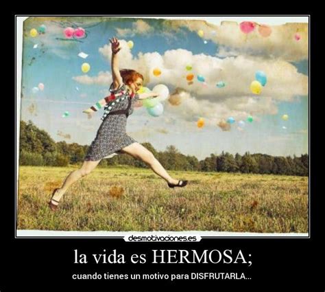 La Vida Es Hermosa Desmotivaciones