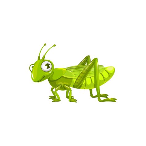 Grasshoppers Vector Png Vector Psd And Clipart With Transparent