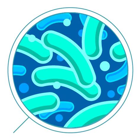 Bacteria Png 20 Free Cliparts Download Images On Clipground 2024