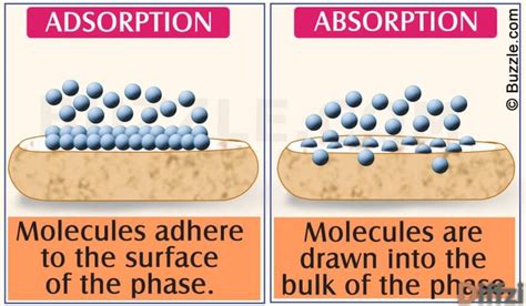 Electron reconstruction of the adsorption center. Absorption vs. Adsorption: What is The Difference? | Diffzi