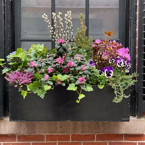 20 Window Box Flower Ideas What Flowers To Plant In Window Boxes