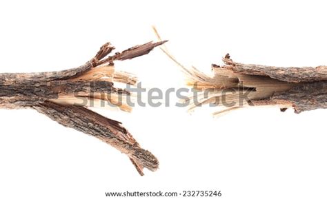 Broken Branches On White Background Stock Photo Edit Now 232735246