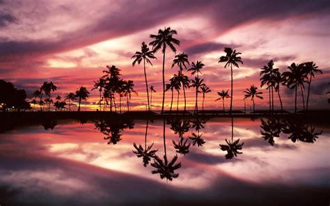Hawaii Beach Sunset Wallpapers 4k Hd Hawaii Beach Sunset Backgrounds