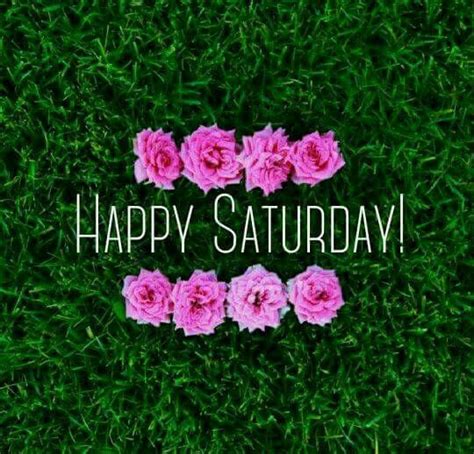 Happy Saturday Flowers Image Pictures Photos And Images