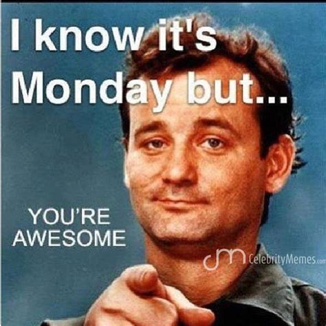 Bill Murray You Stud Happy Monday Yall Monday Meme Billmurray