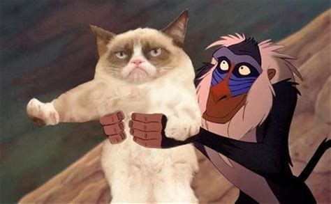 Grumpy Cat Lion King Dump A Day