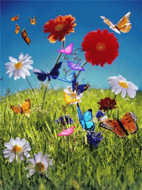 Animated Butterfly And Flower 
