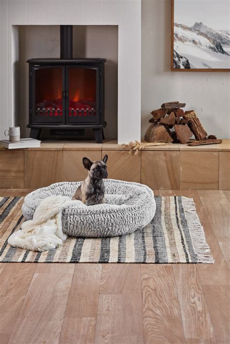 How To Create A Stylish Pet Friendly Home Style Curator