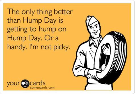 38 funny hump day meme photos graphics images and pics picsmine