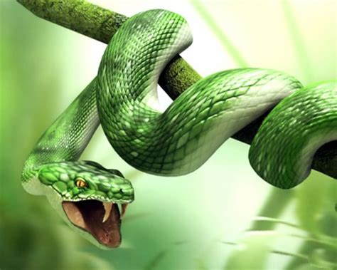 King Cobra Green Snakes 1024x819 Wallpaper