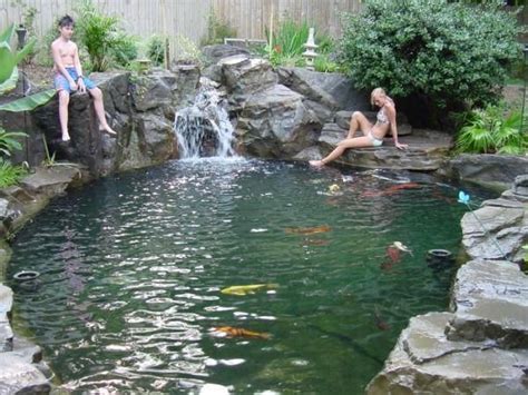 Koi Pond Swimming Pool Can You Swim With The Koi Fish Architectural