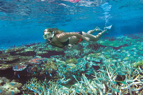 Great Barrier Reef Tour 7 Day Reef Passport Save Over 200