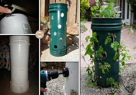 Diy 5 Gallon Bucket Strawberry Tower Bucket Gardening Container