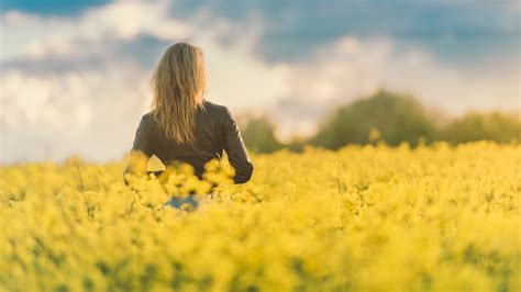 backside of girl is standing alone in yellow flowers field hd alone wallpapers hd wallpapers