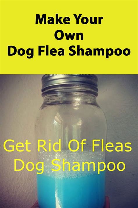 Diy Dog Remedies Flea Shampoo For Dogs Dog Remedies Homemade Dog