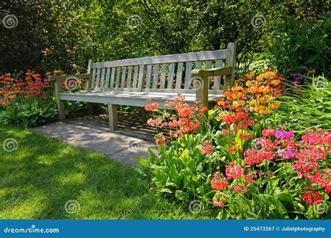 Wooden Bench And Bright Blooming Flowers Stock Image Image Of Bench