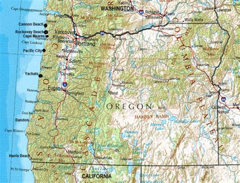 Oregon Coast Follow Shannon