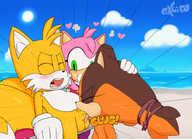 Post Amy Rose Excito Sonic Boom Sonic The Hedgehog Series Sticks The Badger Tails
